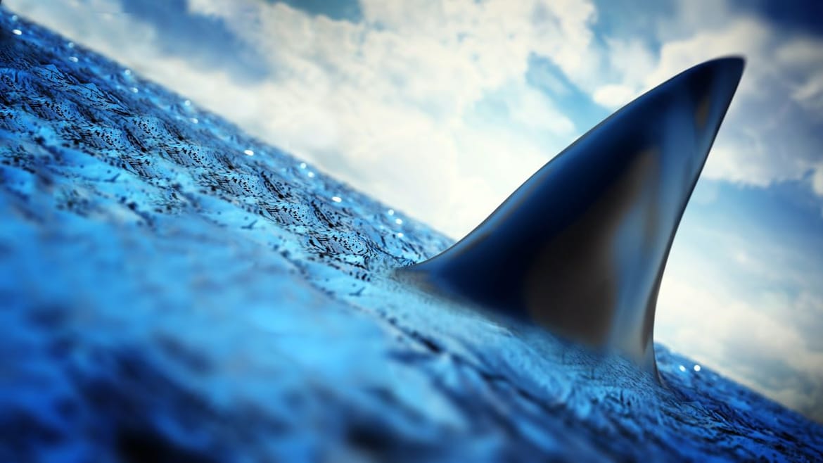 Ribari rastvorili morskog psa: "Na tijelu je još uvijek bilo ronilačko odijelo!"