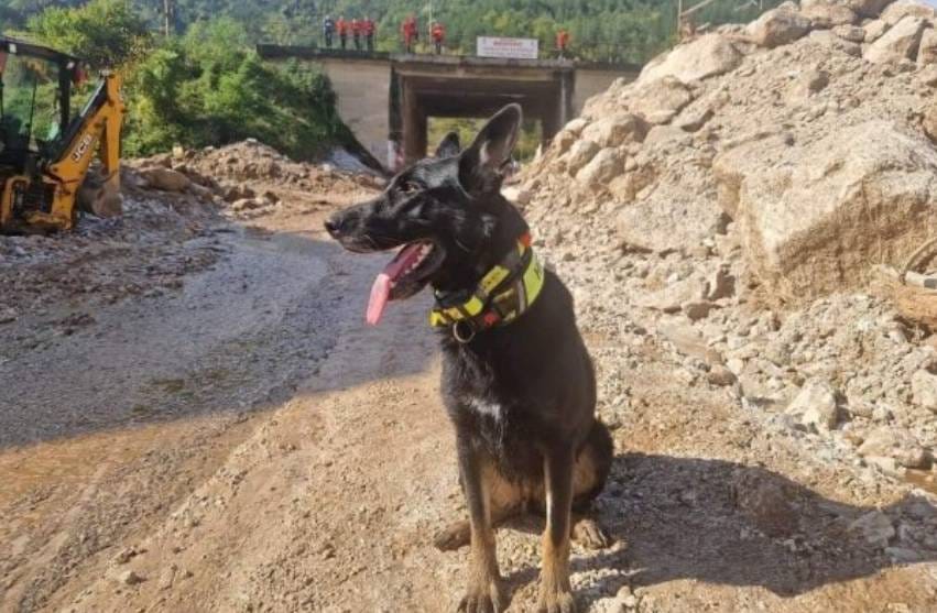 Ovo je "Korčulanka" koja je hrabro pomagala stradalima u Jablanici!