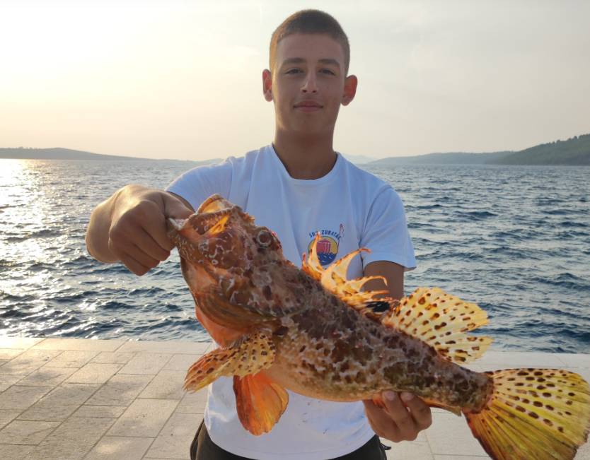 Baš kada je krenuo izvlačiti štap iz mora zagrizla je škarpina od preko 2 kilograma!