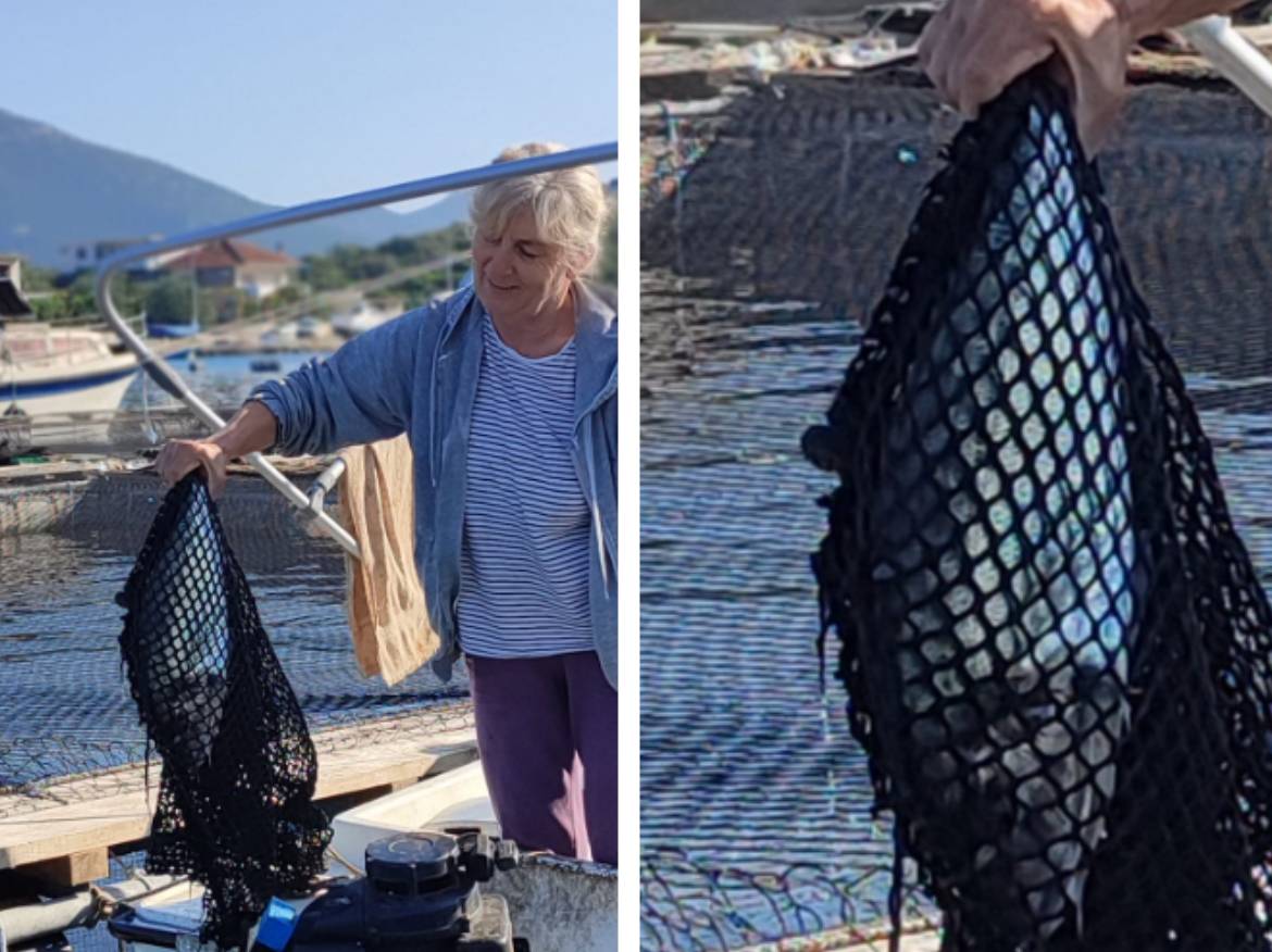 Jesi li ribarice spretnije od ribara? U Neumu i okolici tvrde da jesu!