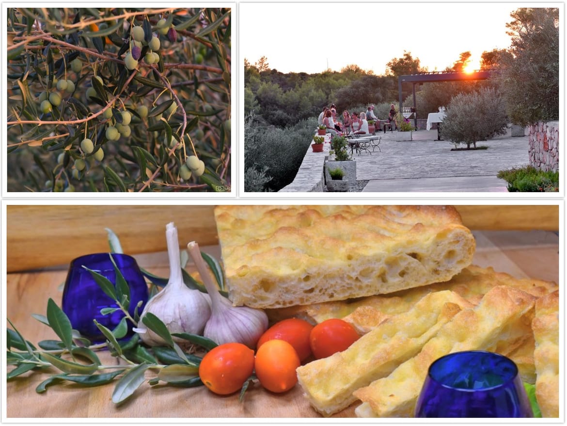 Pozdrav ljetu uz vrhunska vina i maslinova ulja u Gdinju, na otoku Hvaru