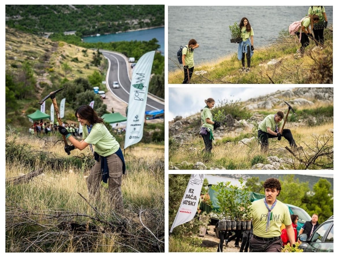 BRANITELJI NOVOG DOBA Gotovo 1000 volontera Boranke pošumljavalo požarište Grebaštice, idućeg vikenda sadit će kod Trogira!