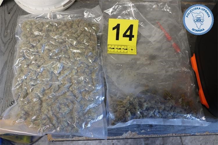 Uhićena istarska dilerica iz Labina