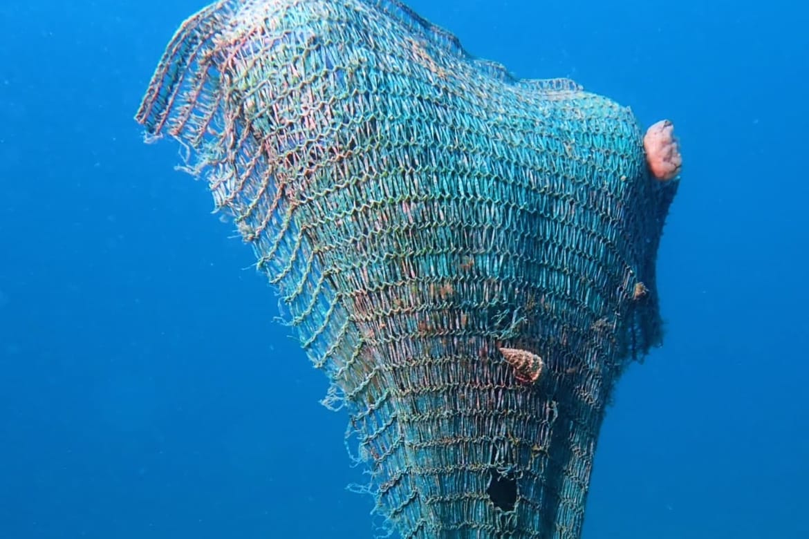 Pregledani kolektori za prihvat mlađi periski u Istri: "Ni ovaj put nismo pronašli ništa!"