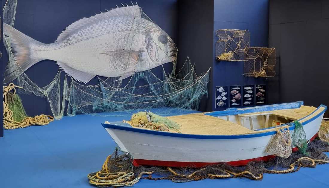 Na sajmu ribarstva u Poreču ove godine će biti prisutan cjelokupni ribarski sektor