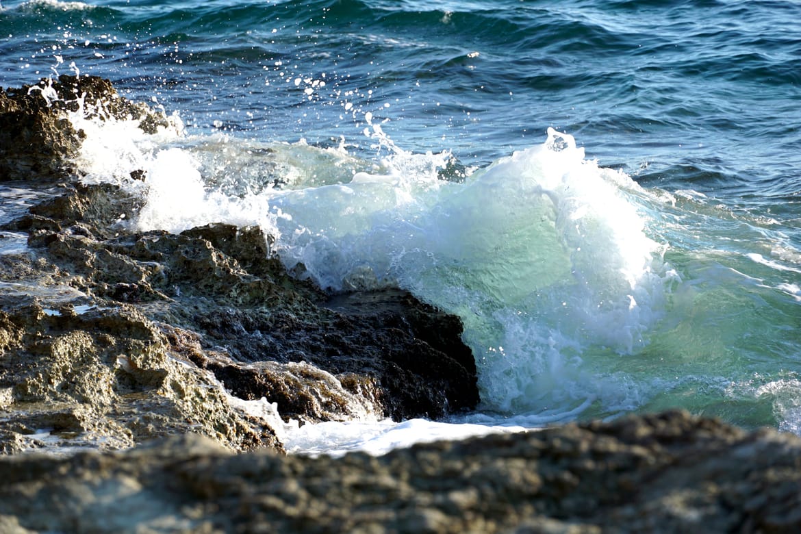 Ujutro burin, poslijepodne lebićada