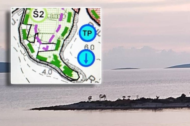 DEVASTACIJA Građani tvrde: "Šveđanin, već osuđivan za bespravnu gradnju "počupao" gustu borovu šumu na poluotoku Ratu u općini Okrug Gornji - gdje su komunalci, gdje je Općina?!"