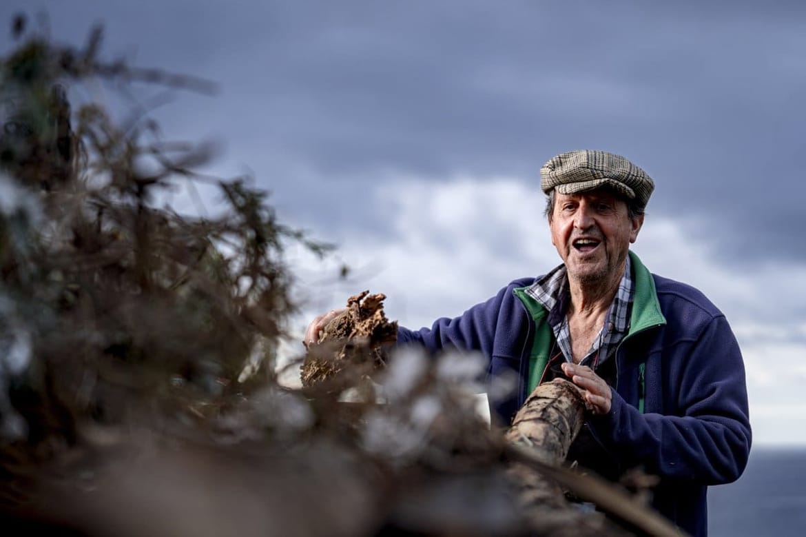 Novogodišnja čestitka komiškog pjesnika