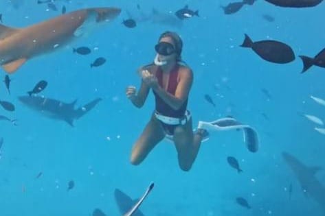 Influencerica na Maldivima plivala s 50 morskih pasa, jedan ju ugrizao!
