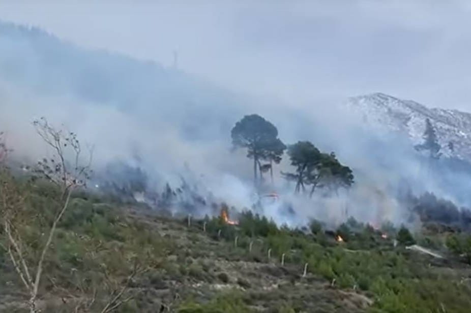 Lokaliziran požar u Žrnovnici