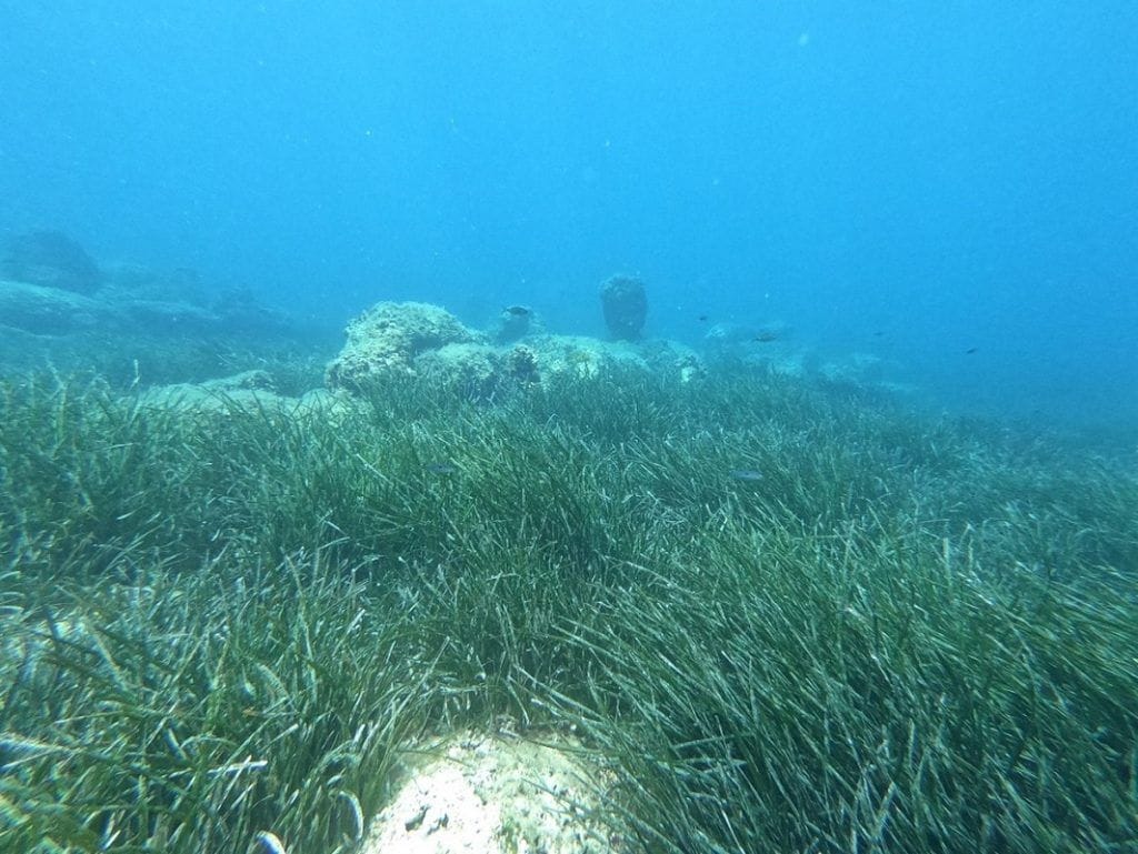 Kampanja "A di se ti sidriš" cijele je godine podsjećala na strašne posljedice koje čovjek može prouzročiti u morskom ekosustavu: "Pritisci na Jadransko more su stvarnost!"