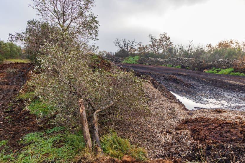 Stotine kubika otrovne komine iskrcano između Vodnjana i Fažane