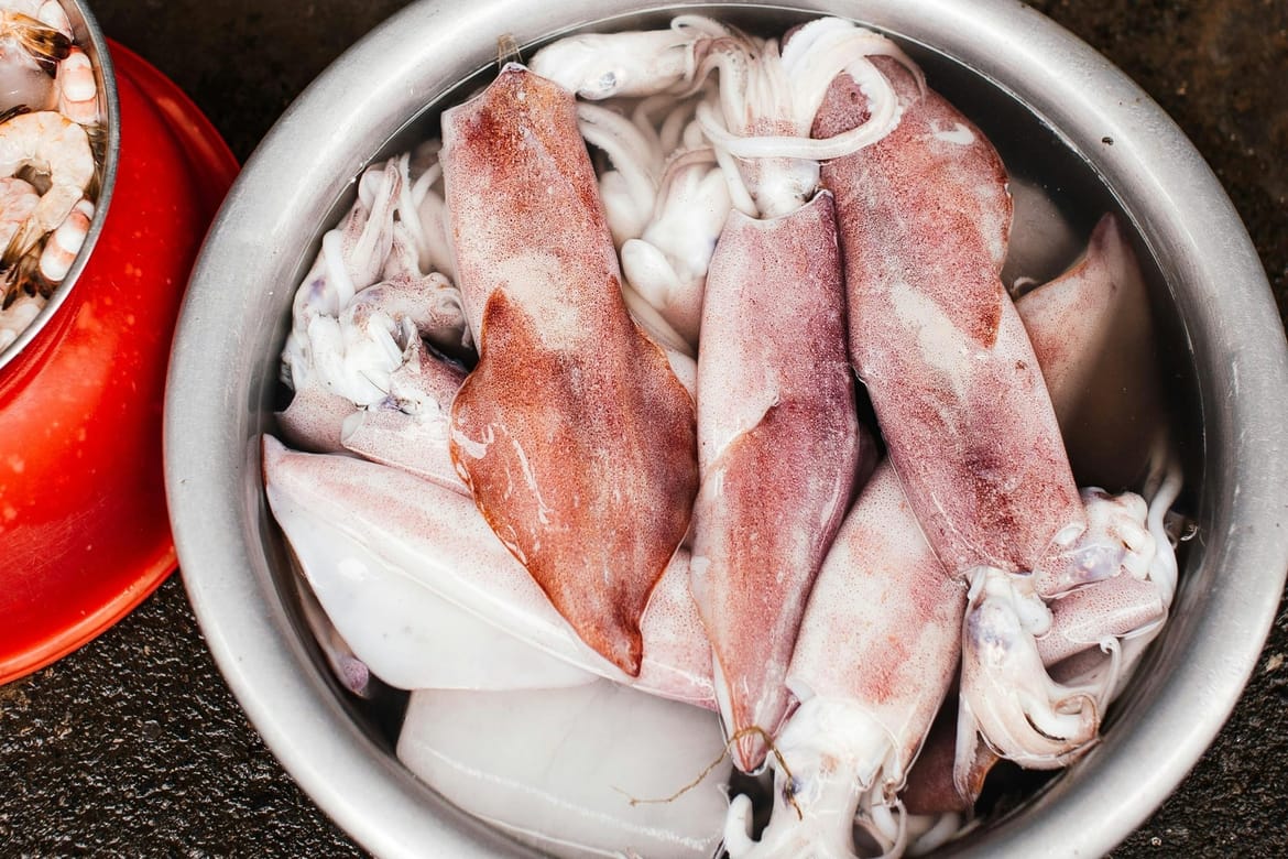 Danas kreće fešta od lignji - "Zatonska mujsula"