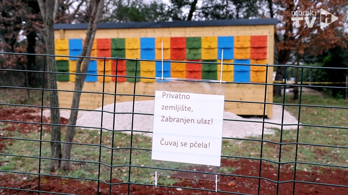 VIDEO Ilegalni apartman u Umagu zamaskirali u košnicu i postavili natpis "Čuvaj se pčela"