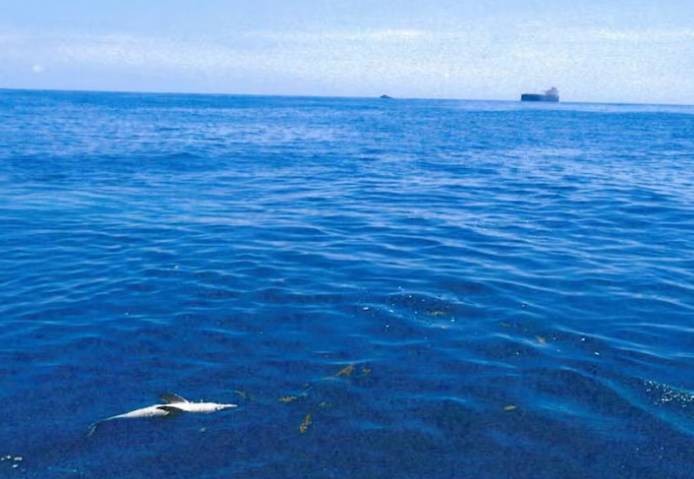 Australska kompanija mora platiti gotovo 20 tisuća dolara zbog onečišćenja mora