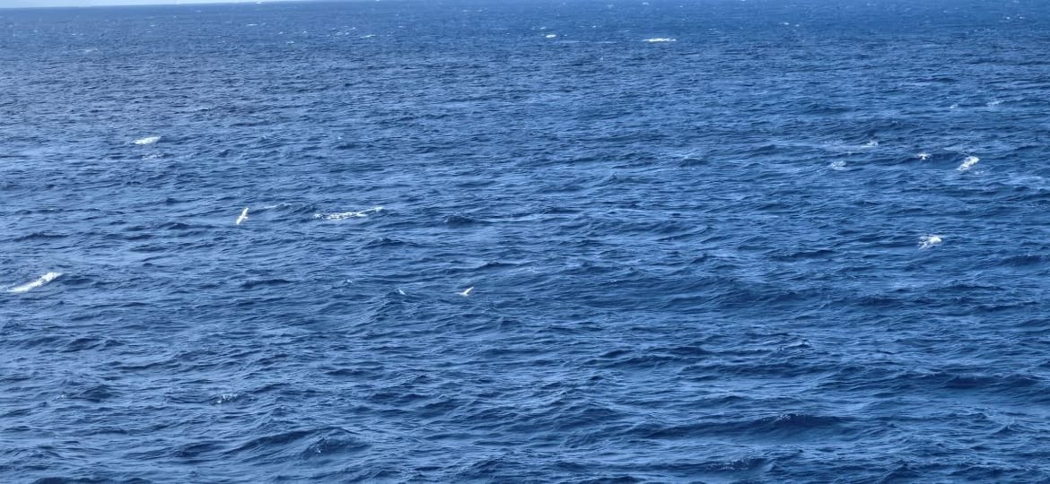 Mjestimice udari juga 35-40 čvorova, ponegdje su mogući neverini