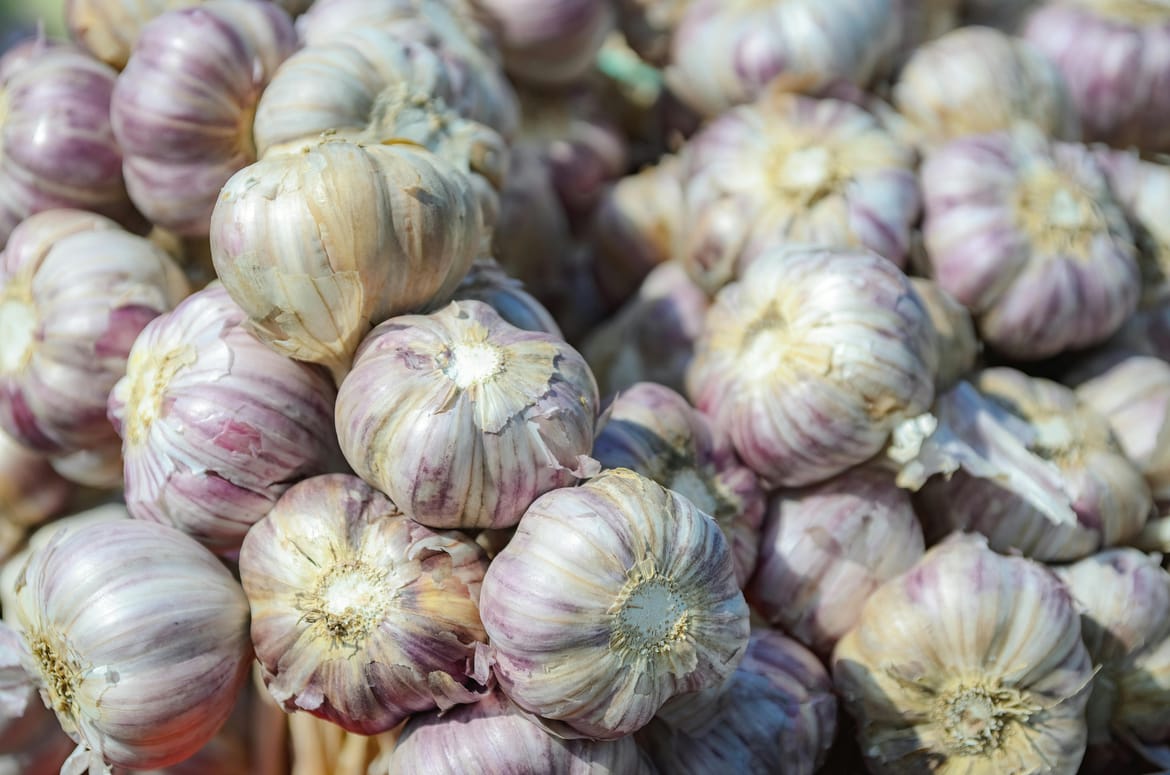 S polica se povlači Metro Chef češnjak u češnjevima: "Sadrži nedopuštenu količinu pesticida!"