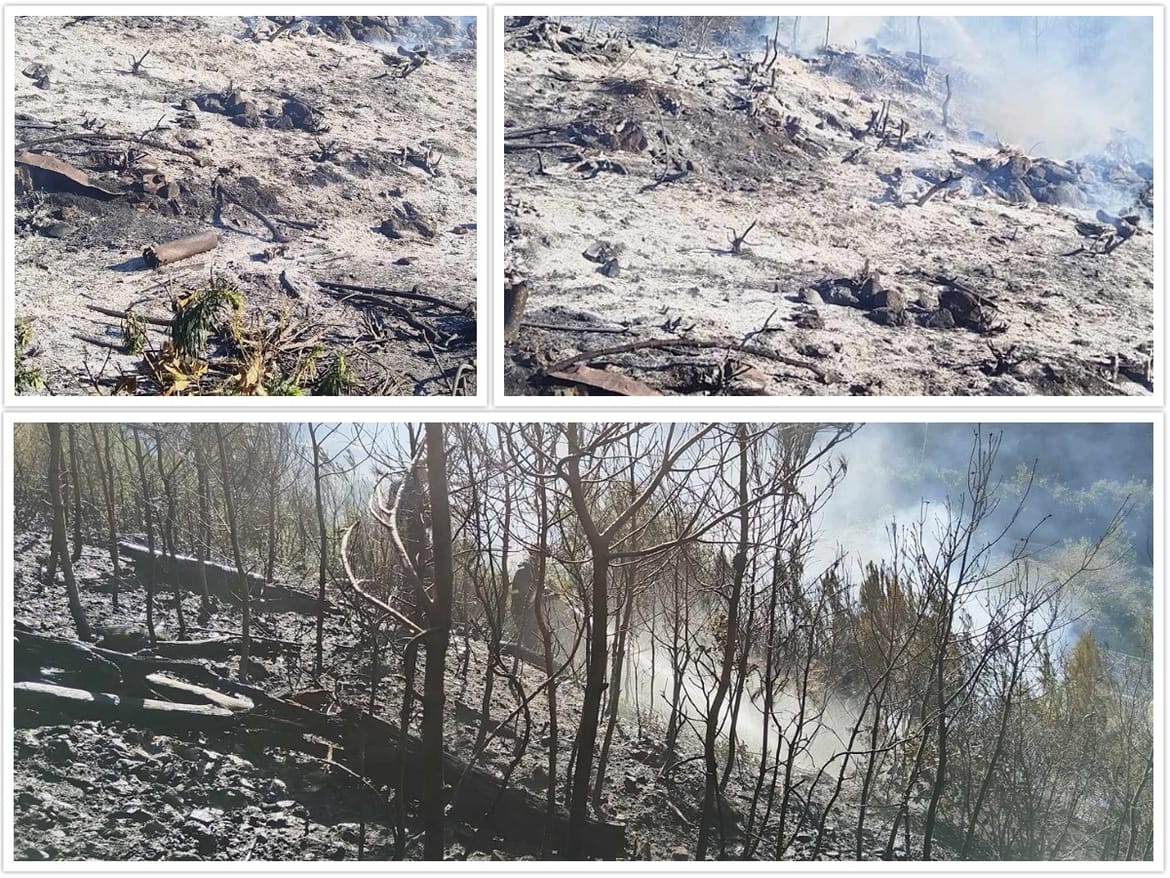 Požar na Pelješcu prouzročen paljenjem korova? Pogledajte što je ostalo nakon buktinje