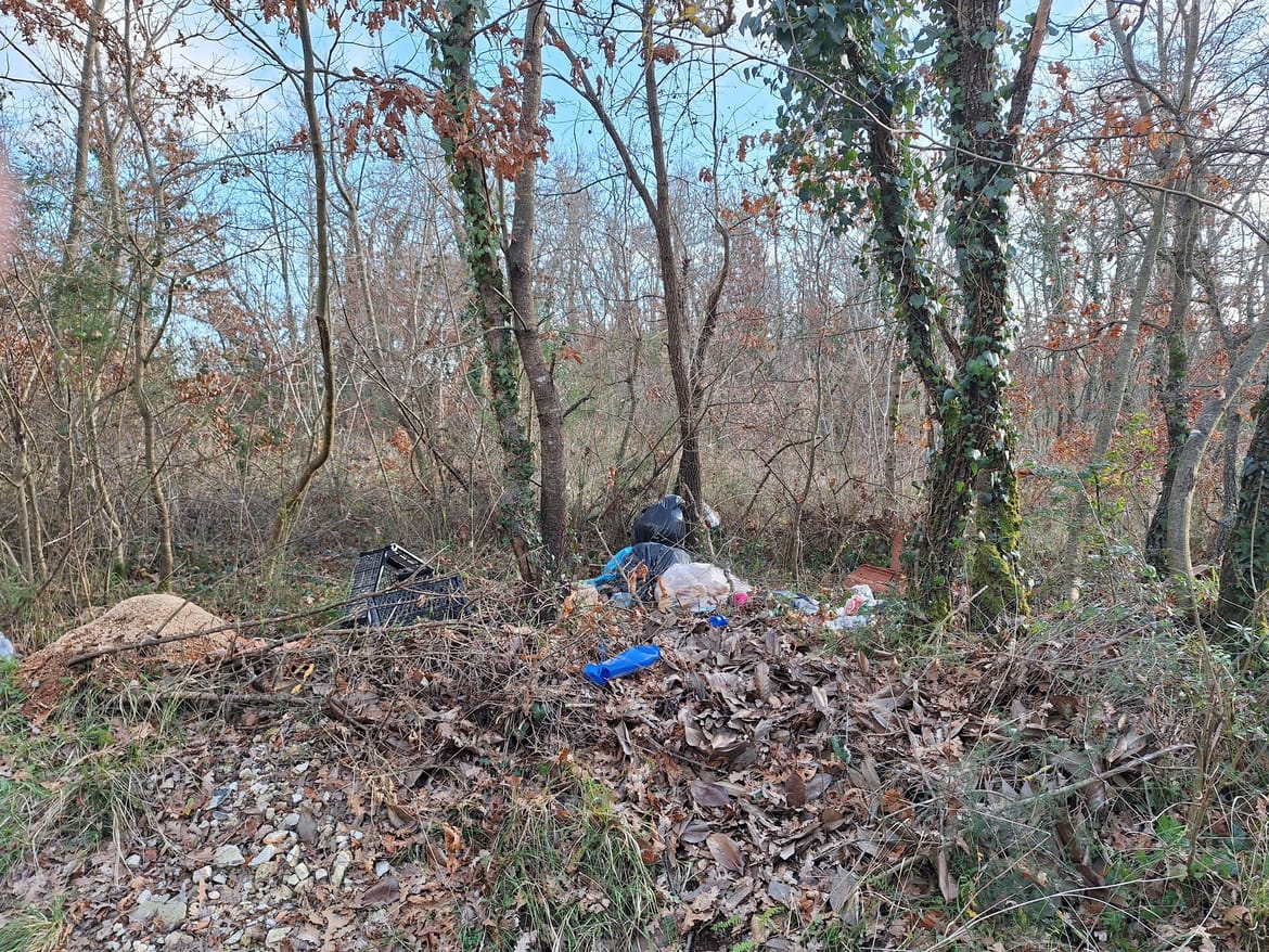 Živjela 'kultura' i 'ekološka svijest'! Ovako izgleda jedan istarski šumarak...