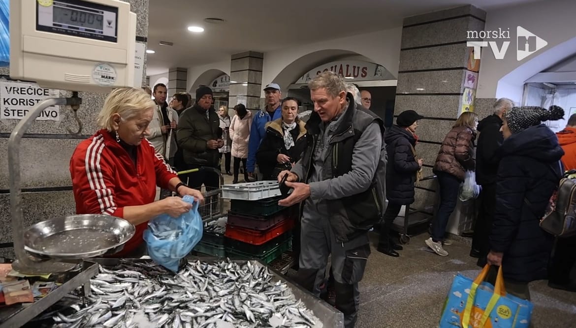 VIDEO Ogromni redovi za srdelu nakon lovostaja: "Čeka se po sat i više vremena!"