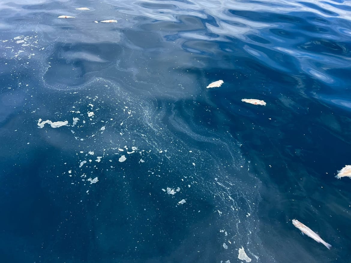 Otočani protiv uzgajališta u akvatoriju Valbiske