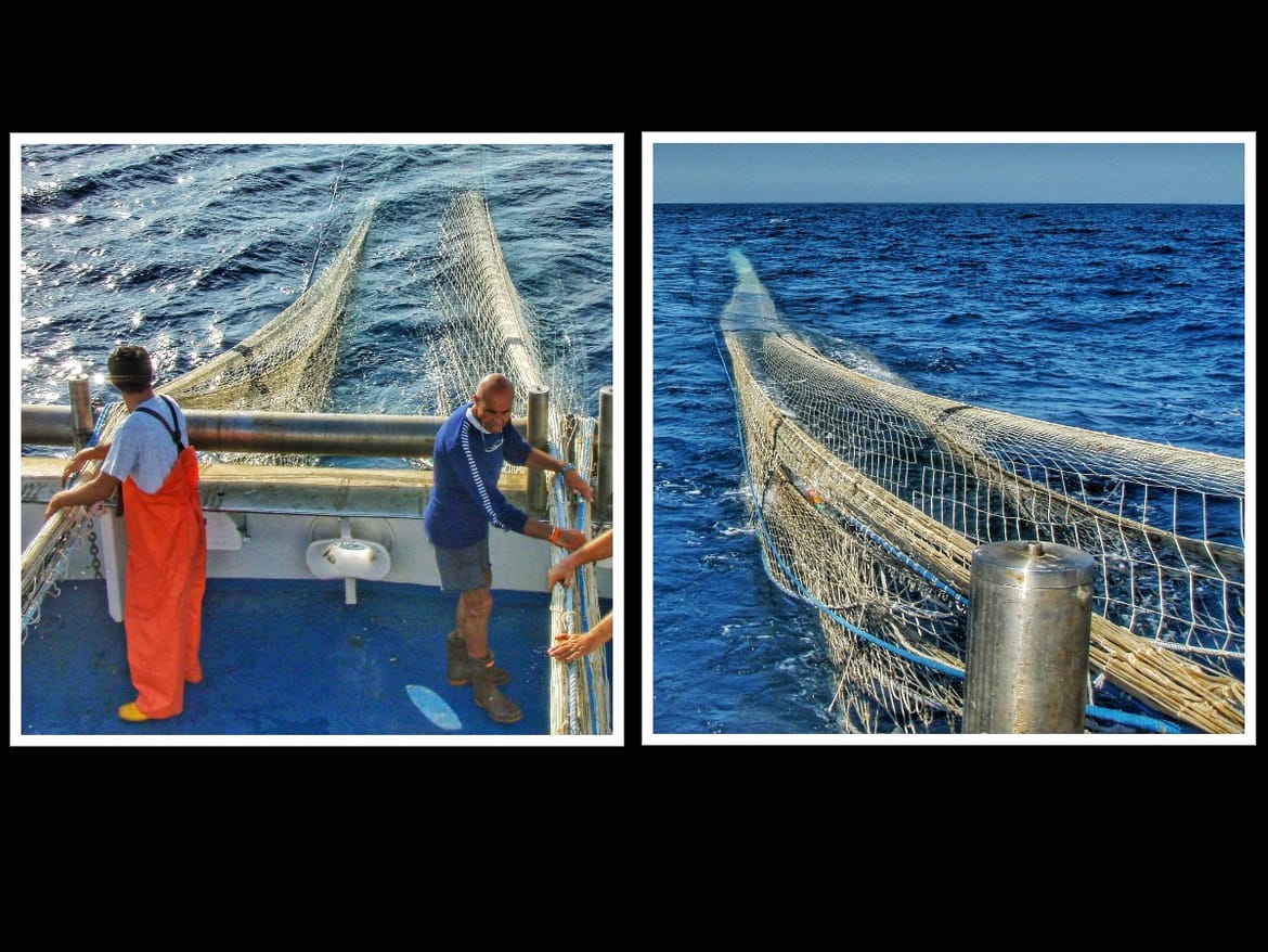 Kupnja morskih plodova na ribarnici ili u supermarketu izravno utječe na odabir između prelovljenog mora i održivog ribarstva