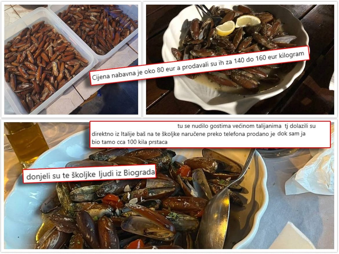 EKSKLUZIVNO: KRIVOLOV NA JADRANU 1. dio - Kako restoran u Kornatskom arhipelagu prodaje prstace: "Krivolovci iz Biograda ulove i do 30 kg po restoranu!" Gazda: "Nemam pojma" - Morski ima snimke!