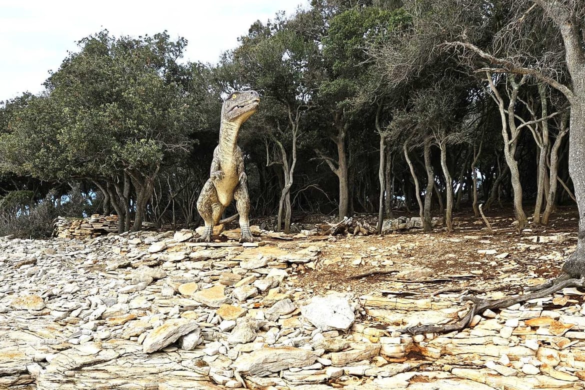 Otisci dinosaura oživljeni na Brijunima