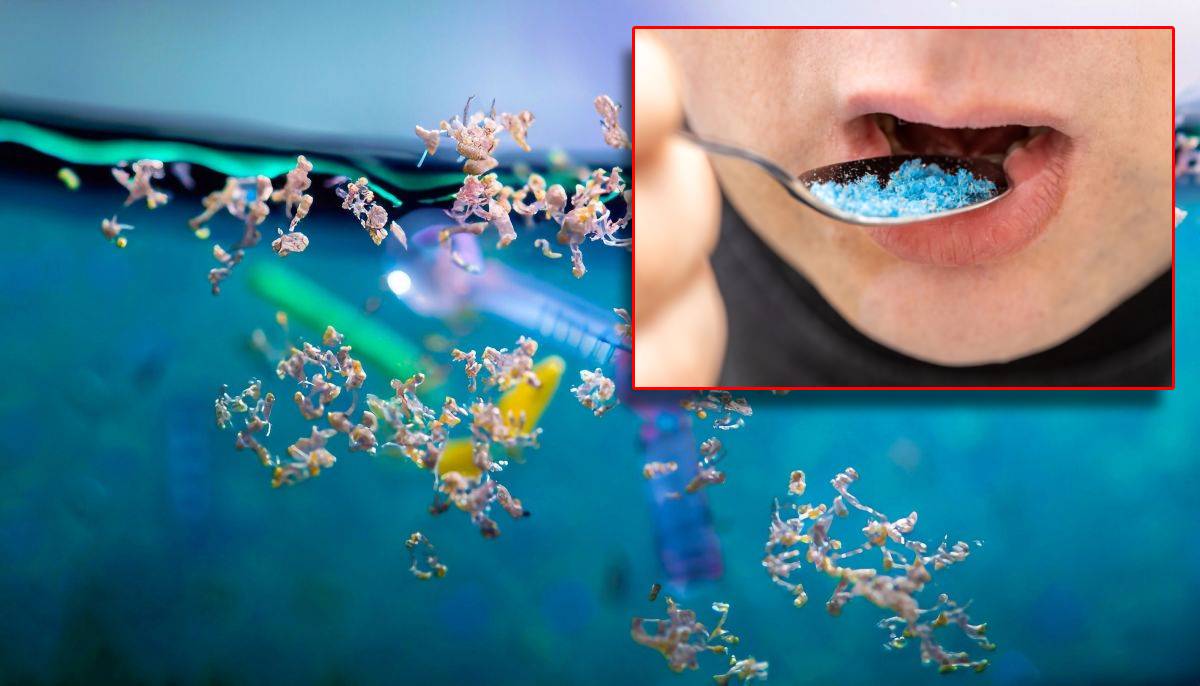 Pronađena u mozgu, plućima i majčinom mlijeku - Je li mikroplastika stvarno štetna za ljudsko zdravlje?