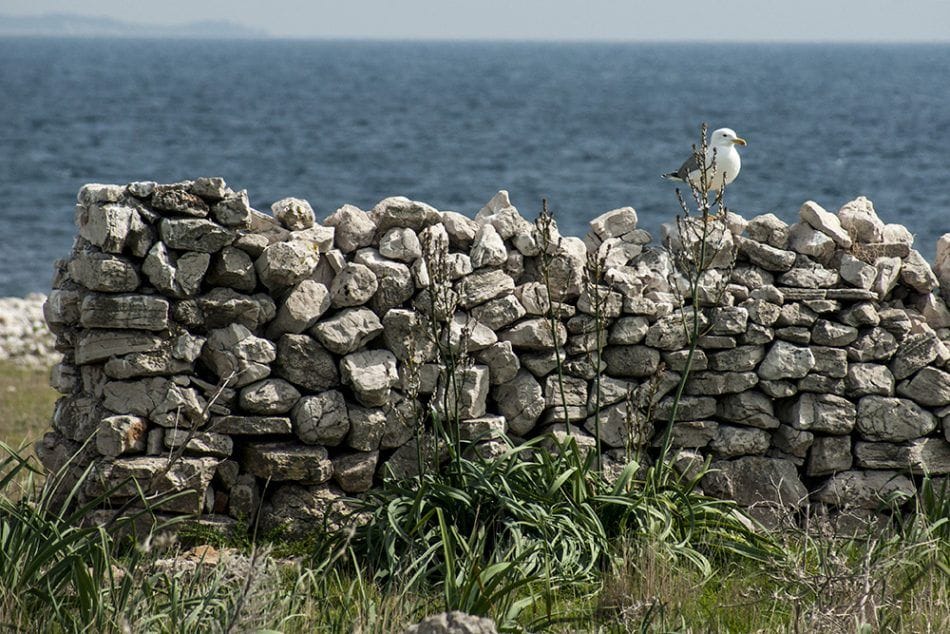 Predstavljenje "Vodiča kroz suhozidnu baštinu Šibensko - kninske županije" u Zagrebu