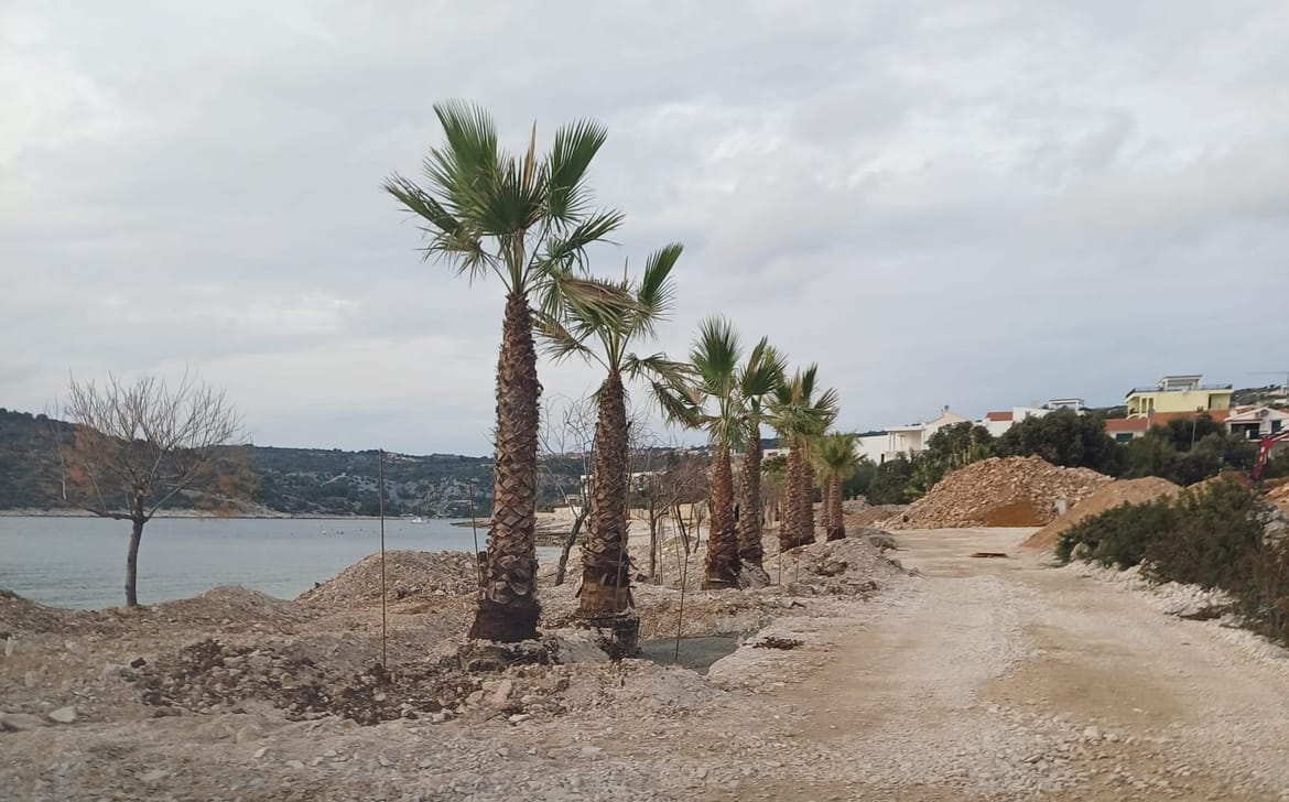 ANARHIJA U SEVIDU I OPĆINI MARINA Divljaci na plaži i kobasice od 36.000 eura