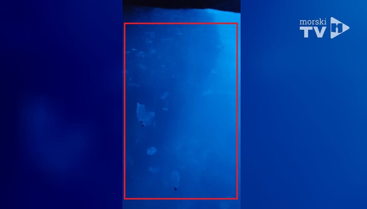 VIDEO Ni Modru špilju nisu poštedjeli - Gomila želatinastih organizama preplavila poznato turističko odredište!