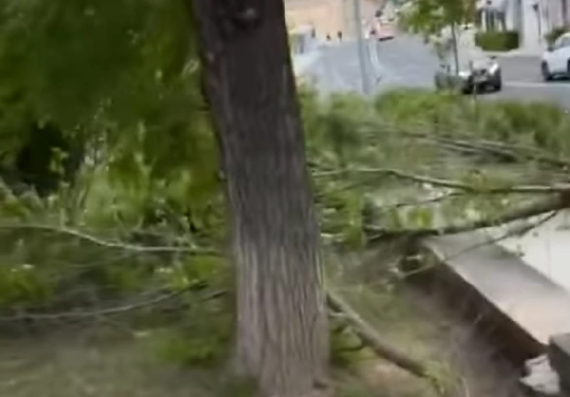 KAOS U ŠIBENIKU Olujno jugo čupa stabla, nosi krovove i dijelove fasada