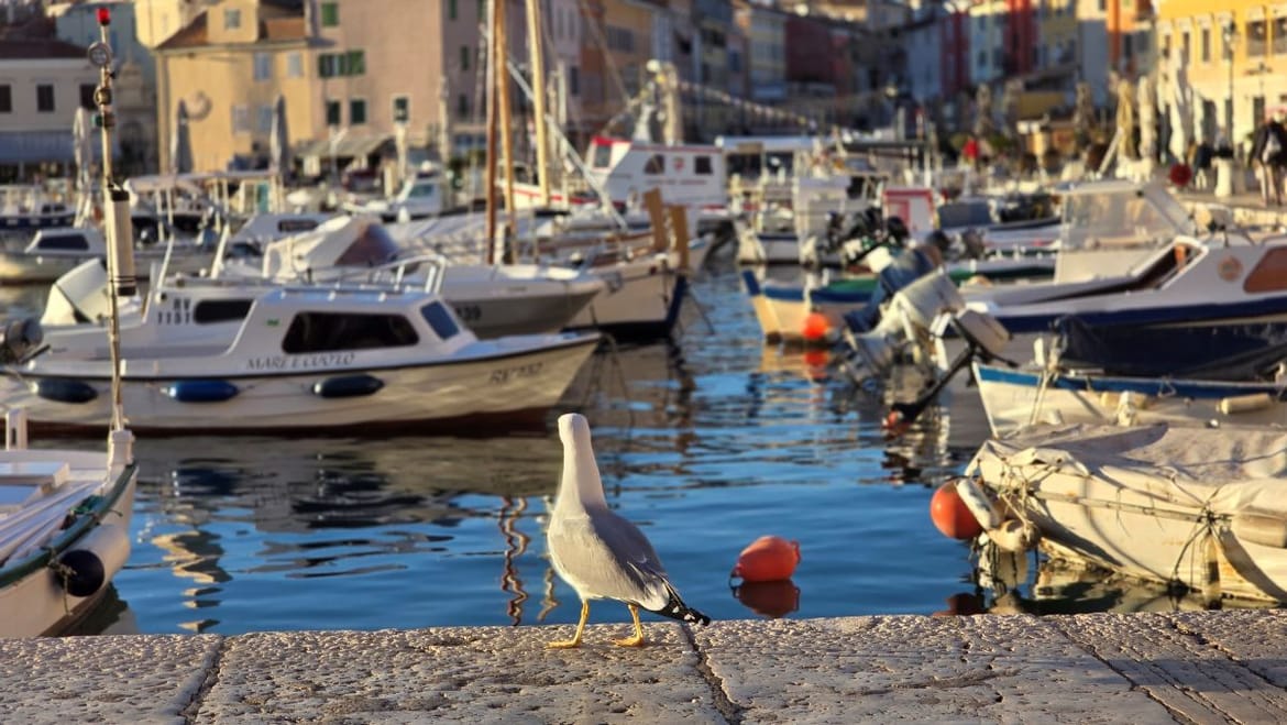 U javnom savjetovanju Nacrt prijedloga Pravilnika o namjeni i uvjetima upravljanja luka te određivnju iznosa lučkih tarifa - Ide li se uvođenjem visokih cijena na ruku velikom interesu za vezove?
