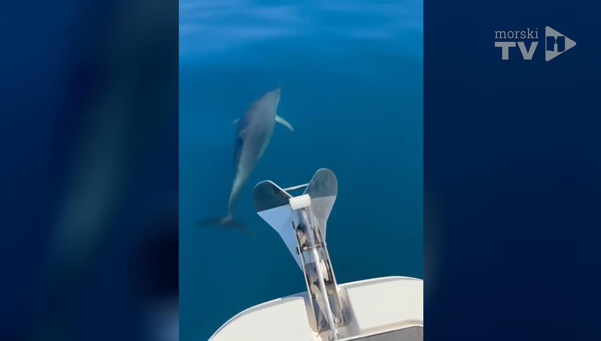 VIDEO Turisti kraj Šolte snimili kadrove za pamćenje