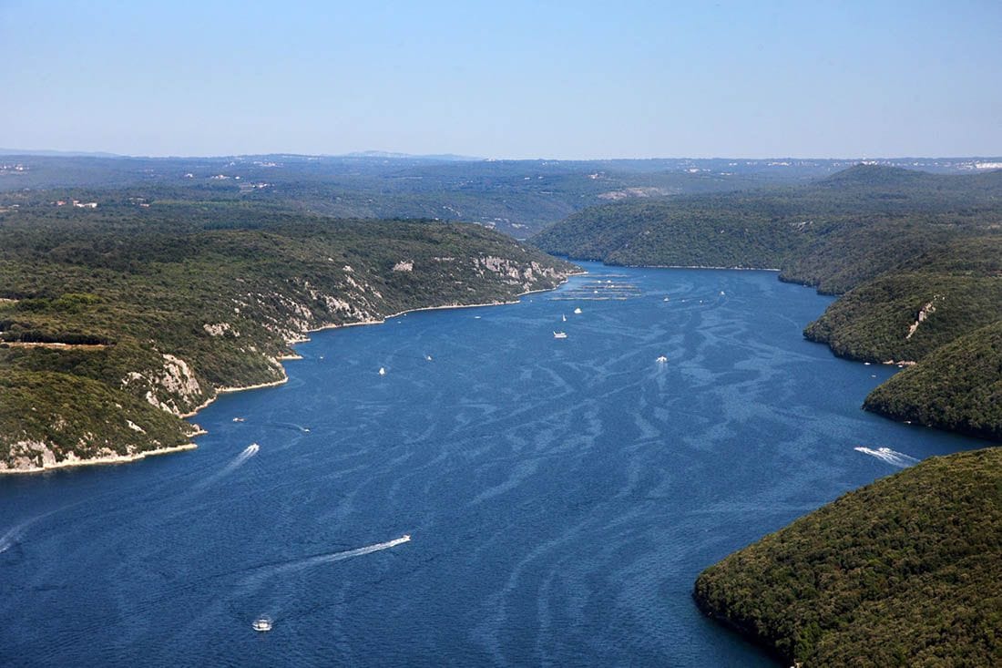 BESPRAVNA GRADNJA ZA PAMĆENJE Žena u Limskom zaljevu sagradila cijeli kamp, krčila šumu do mora, stavila visoku ogradu