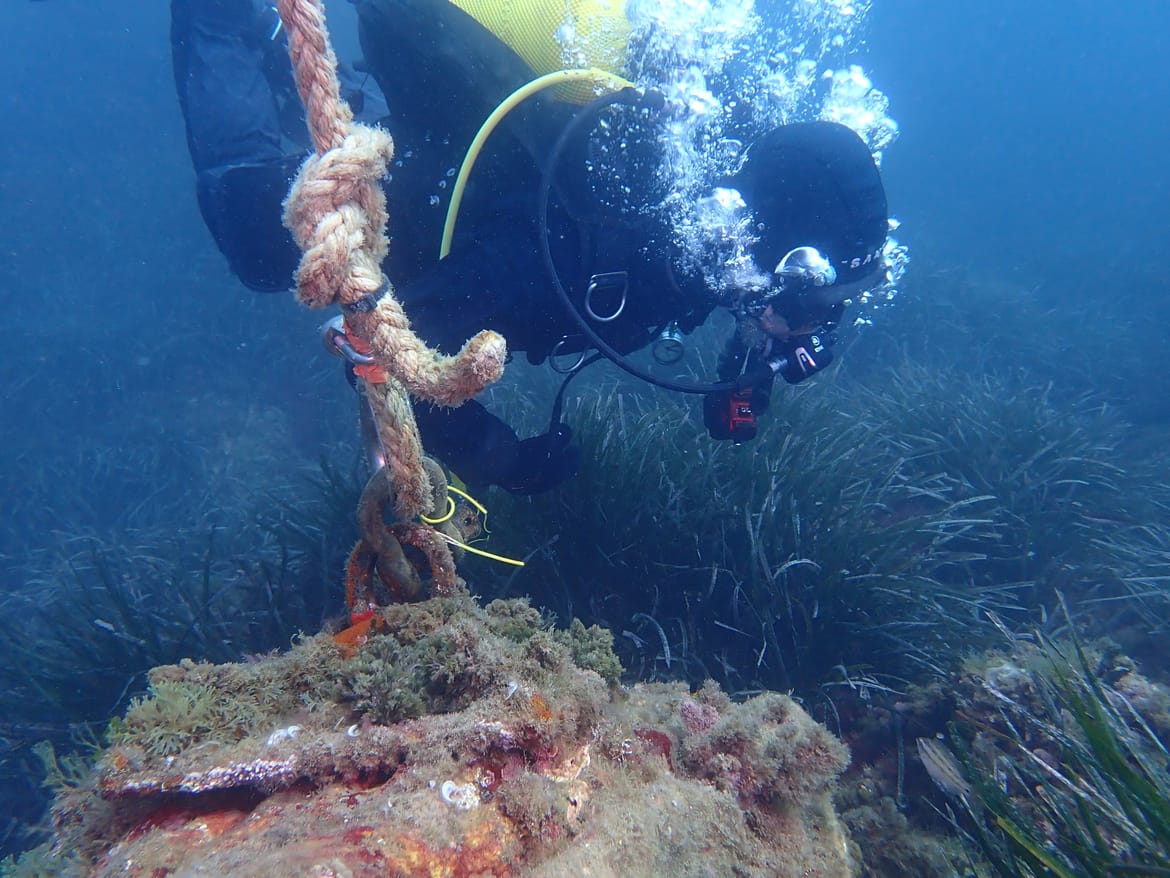 Hrvatski ronioci na tečaju u Francuskoj: "Kad bismo ovako nešto primijenili kod nas, u Jadranu, sigurno bismo pridonijeli zaštiti bioraznolikosi!"