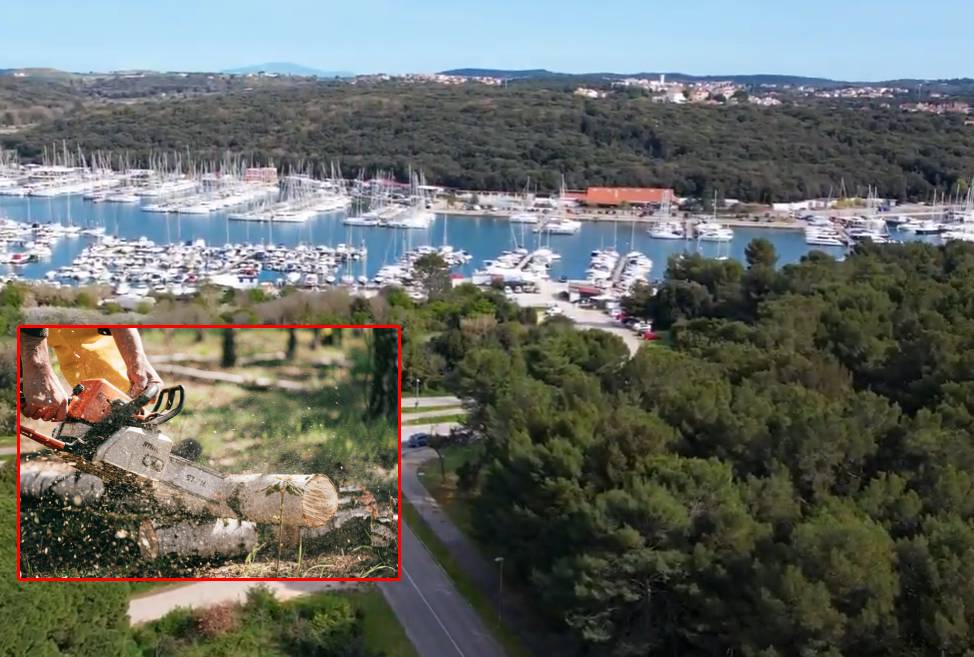 INICIJATIVA GRAĐANA IZ PULE: "Otkrili smo plan brutalne likvidacije jedne čitave urbane šume u blizini Pulske Piramide u ime privatnih interesa!"