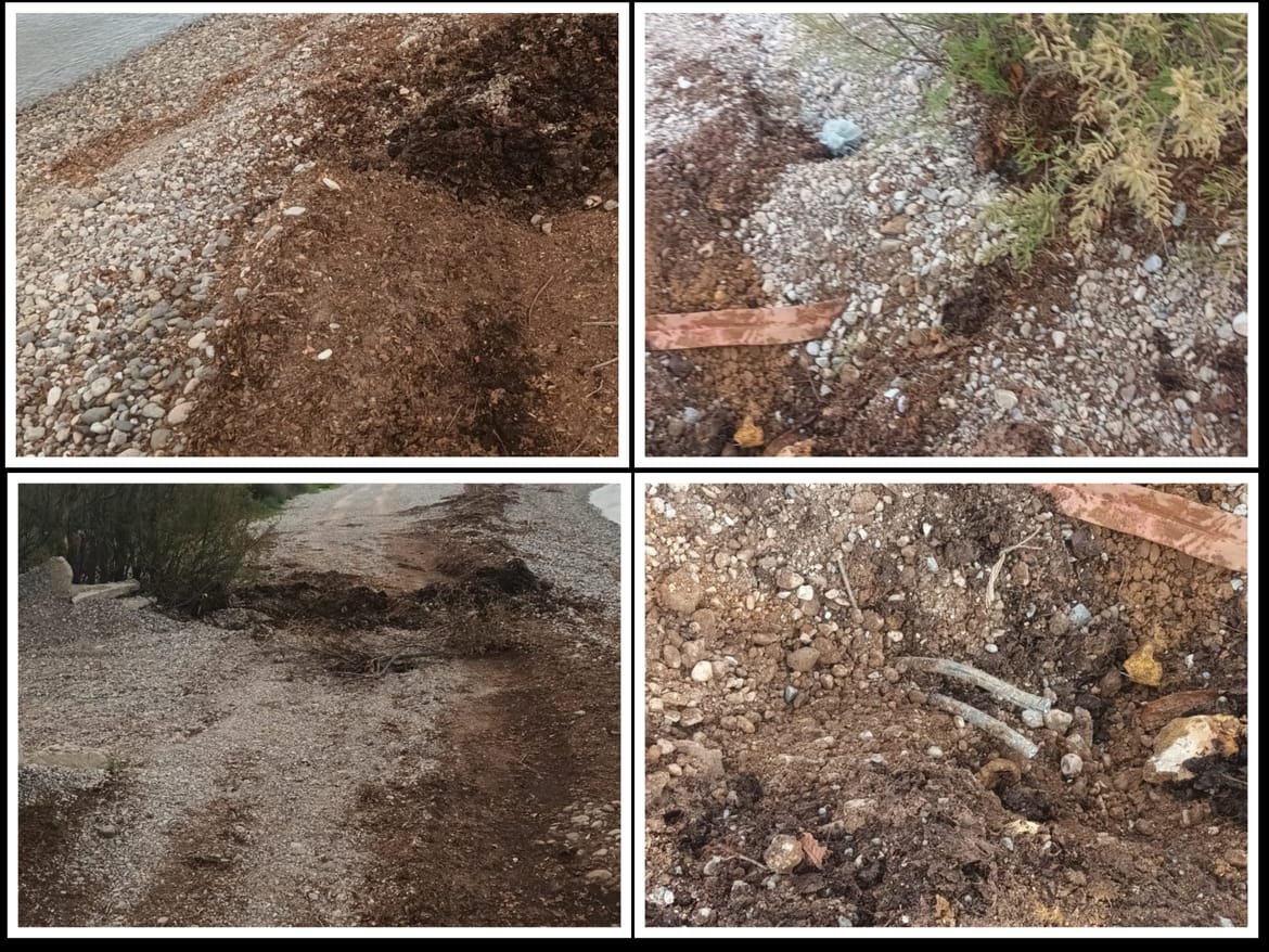 Građanska udruga iz Selina: "Načelnik Starigrada šalje bagere na zaštićenu plažu Pisak, a Ministarstvo i inspekcija ga štite!"