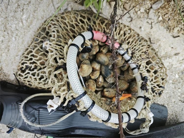 ZATEČEN KAKO VADI DONDOLE IZ MORA Krivolovcu iz Istre prijeti kazna do 6.630 eura, a oduzeta mu je i oprema!