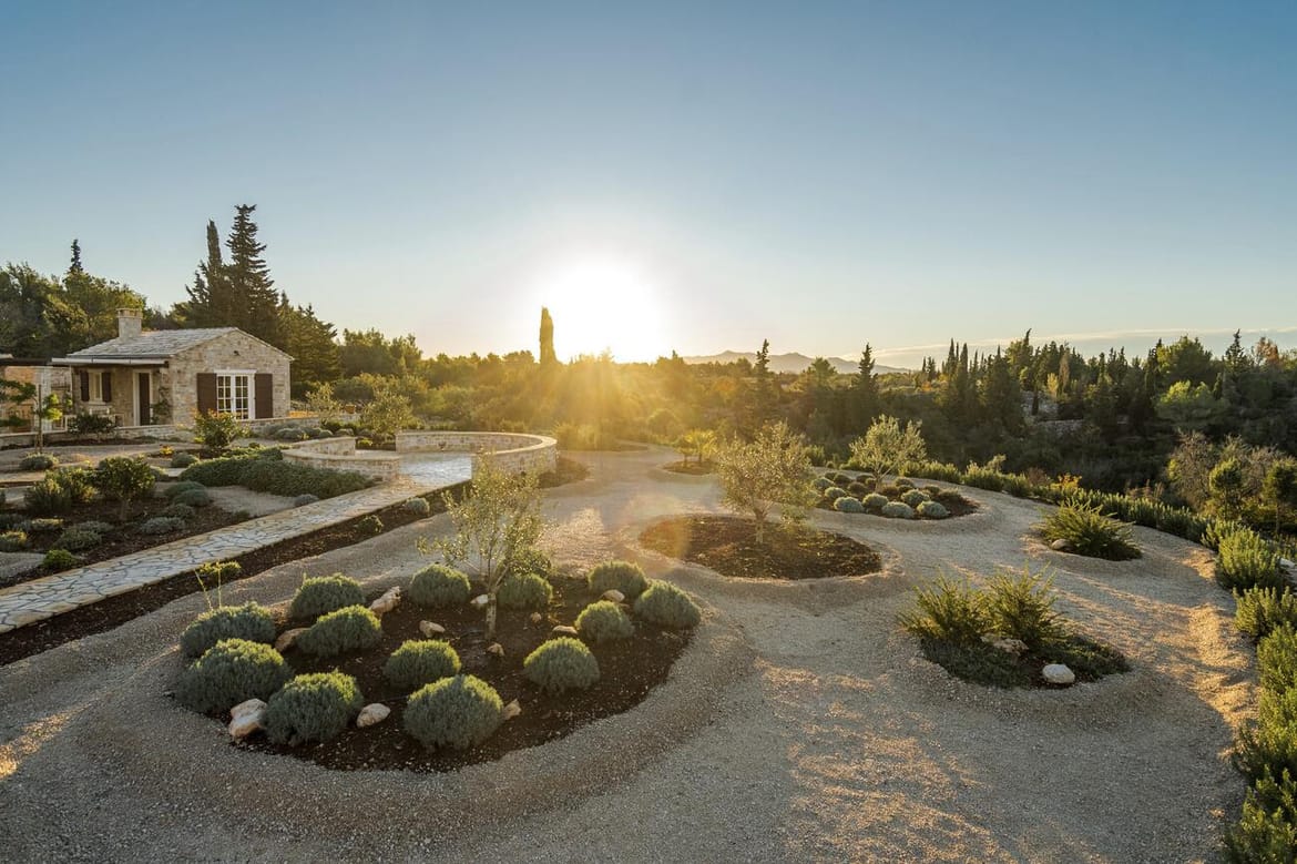 Hvarski maslinari briljirali na prestižnom NYIOOC natjecanju u New Yorku