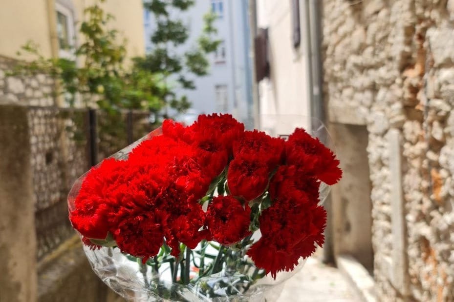 1. MAJ U VRULJICI Besplatan fažol i glazba u zadarskom parku