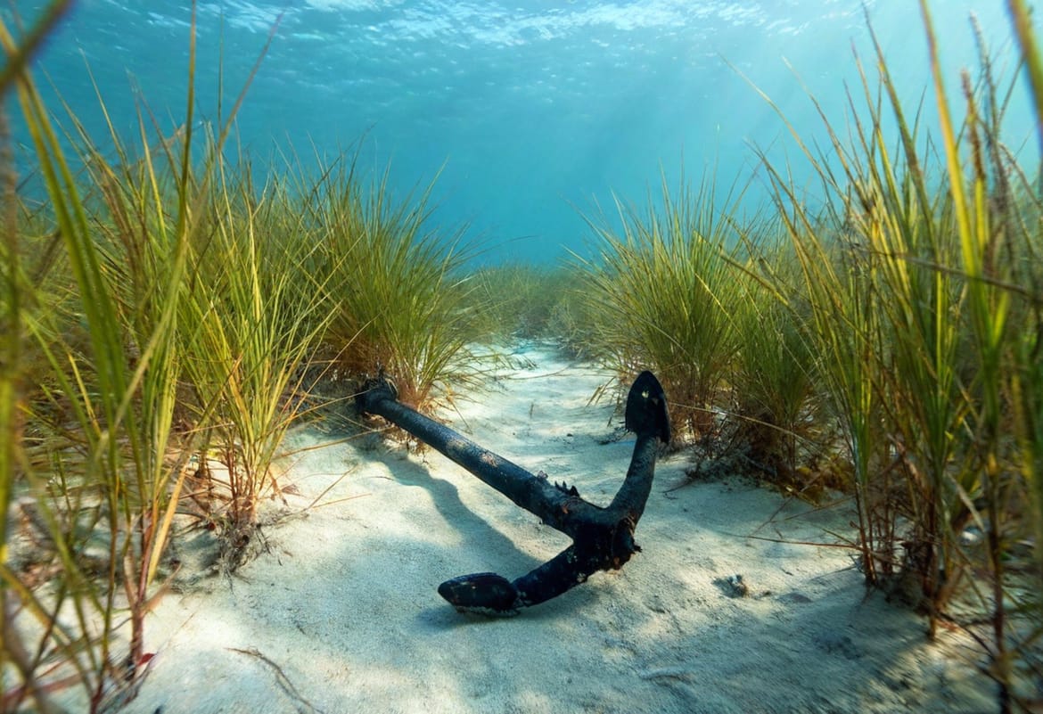 Kako očuvati podmorje Paklinskih otoka?