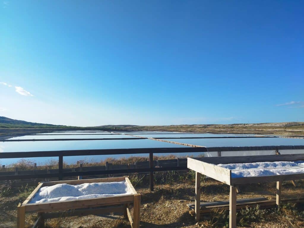 Solana Pag poziva na branje soli: "Jutro u poljima soli, a uz znanje kući nosite i  - pašku sol!"