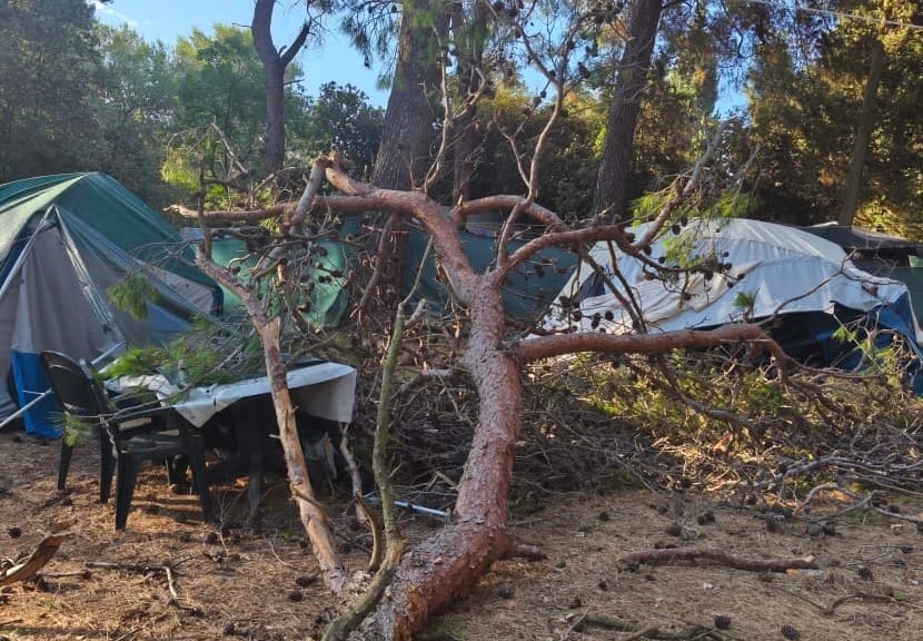 Dok su ljudi spavali, stablo palo na kamp! Umalo ranojutarnja tragedija na Fratarskom otoku!