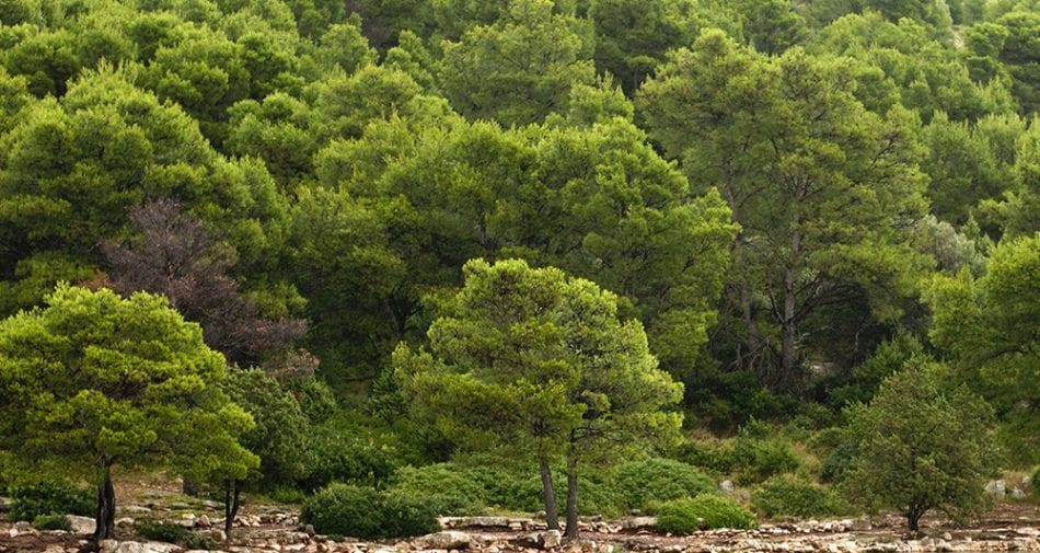 Grupnjak kod Šepurina usred bijela dana: "Zbog ovakvih stvari više ne mogu ni dolaziti!"