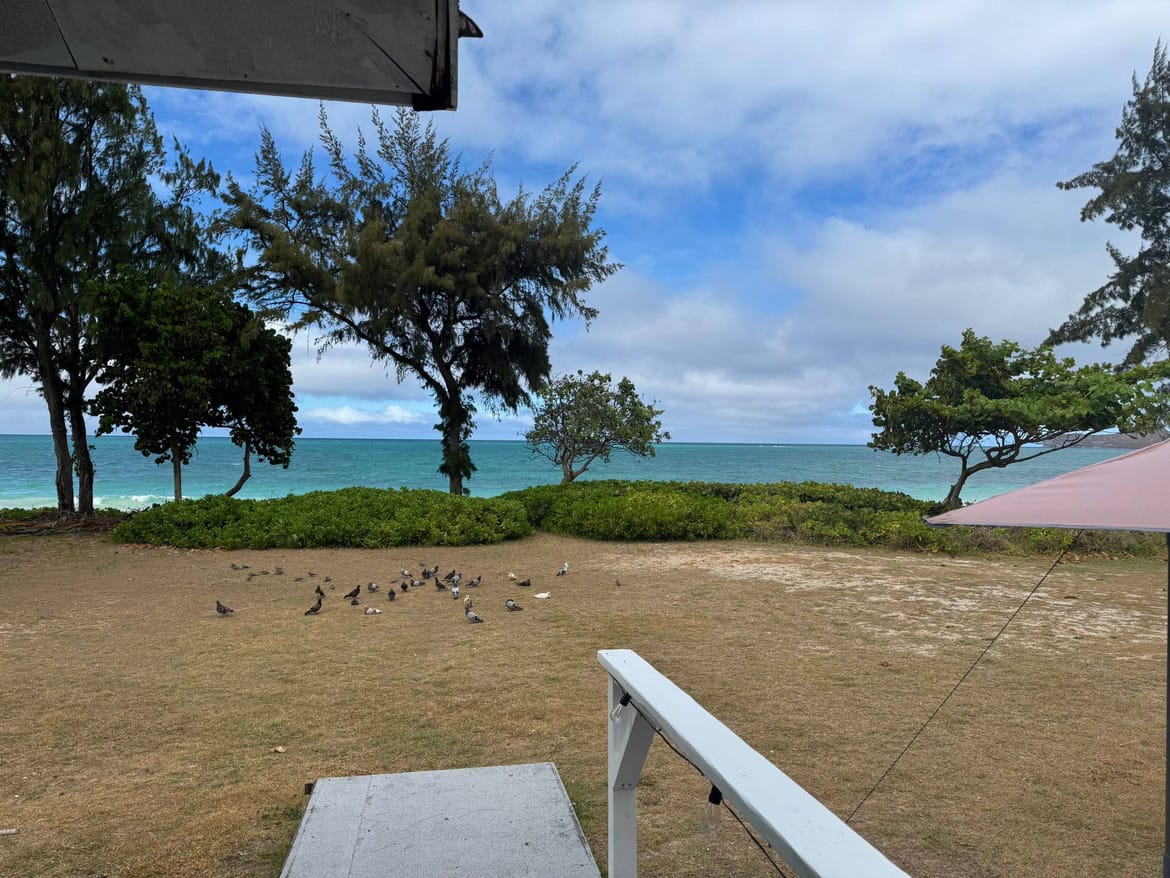 SNIŽENA RAZINA UPOZORENJA Havaji prekinuli evakuaciju: "Građani se mogu vratiti kućama"