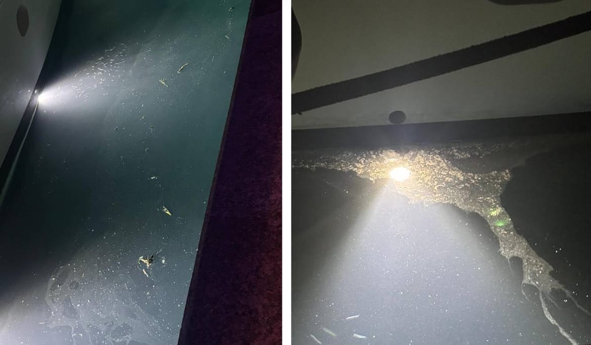 Brodari preko odvjetnice traže ispravak: "Zbog vas je podnesena prijava, na brod stigla inspekcija, provela nadzor i uzrokovala neugodnosti!"