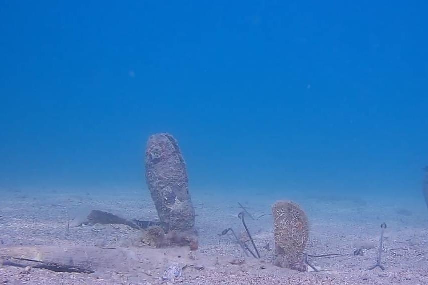 Podvodna kamera u Piranu 24 sata dnevno snima živu plemenitu perisku