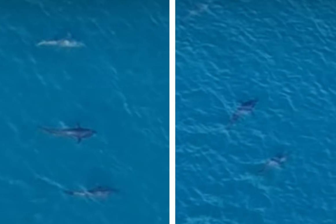 TUNE POD MASLENIČKIM MOSTOM "Lijene kukavice koje rade loše mreže" - ovako je dalmatinske ribare u 18. stoljeću opisao mletački poslanik